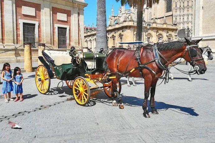Paseo en coche de caballos por Sevilla