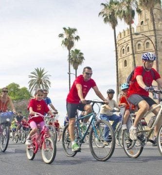 Tour Sevilla bicicleta