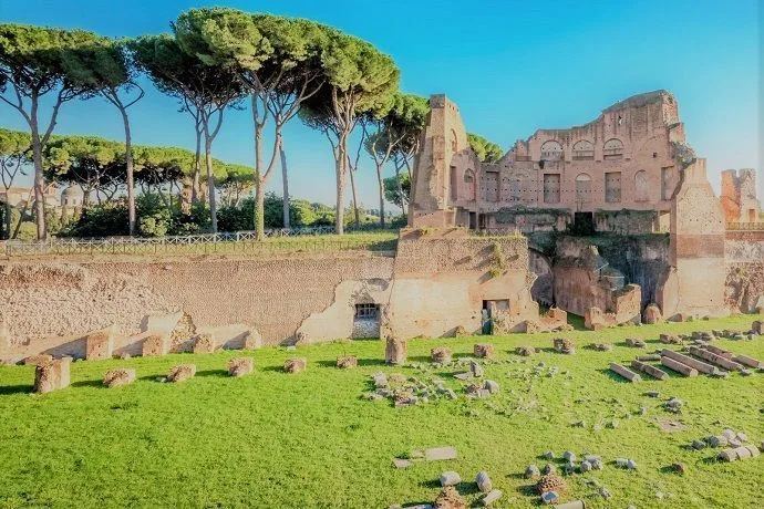 tour guiado Coliseo, palatino y foro romano.