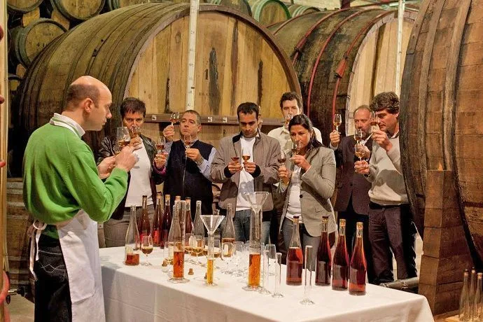 Tour por las Bodegas Torres del Penedés