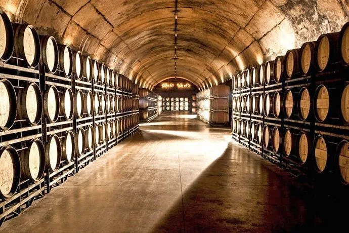 Visitas Guiadas. Bodegas Jean Leon.