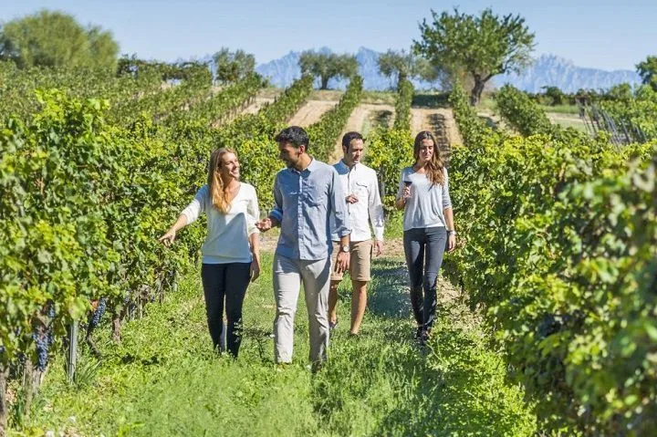 Ruta bodegas Penedés
