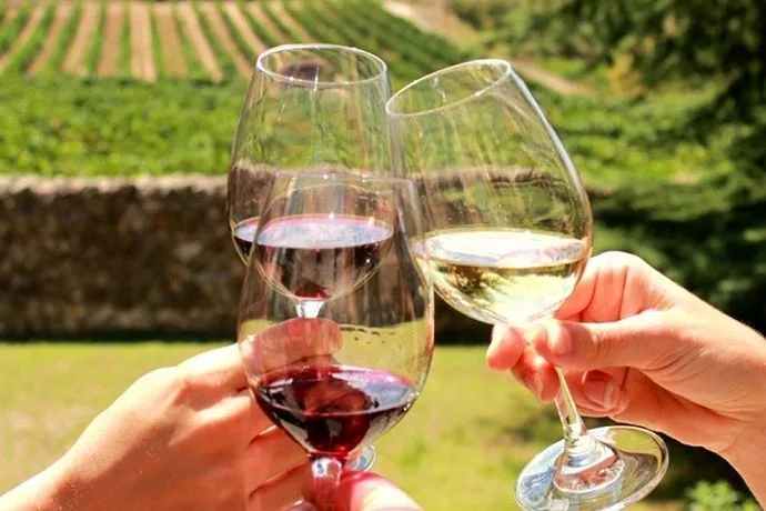 Ruta por el Penedés. Tour del Vino y cava.