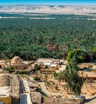 Excursión al oasis de Fayoum