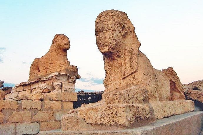 Excursión al yacimiento arqueológico el Fayum