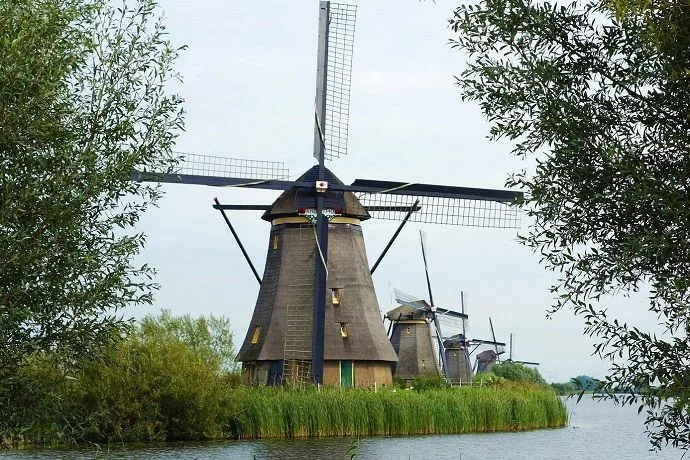 Excursión a Keukenhof y los molinos de Kinderdijk