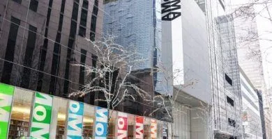 Qué ver museo Moma Nueva York