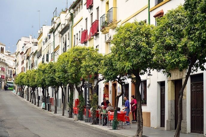 Visitas guiadas para visitar Córdoba. 