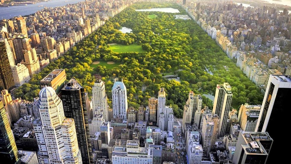 Mejor free tour por central Park en Nueva York