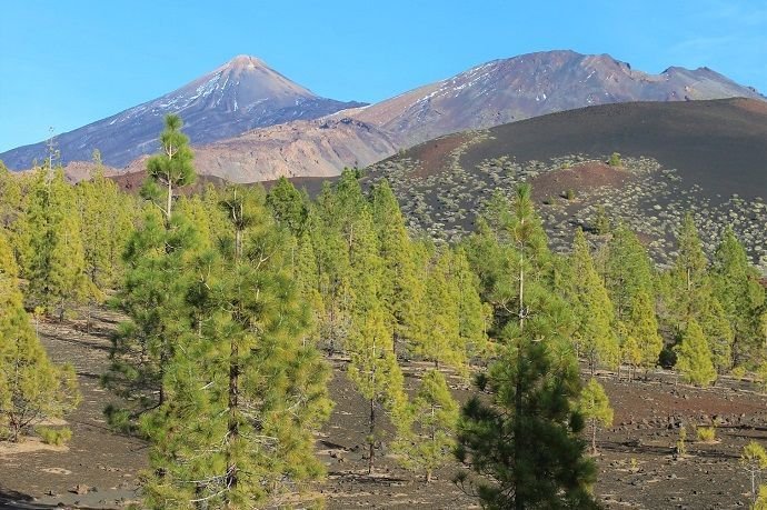 Vistas del volcán del Teide