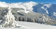 Excursión a Sierra Nevada