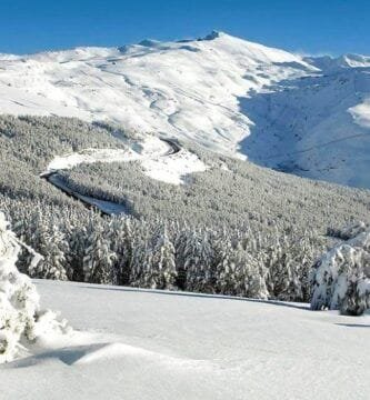 Excursión a Sierra Nevada