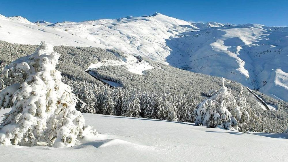 Excursión a Sierra Nevada