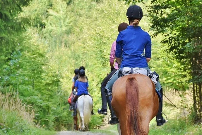 Paseo caballo Montserrat