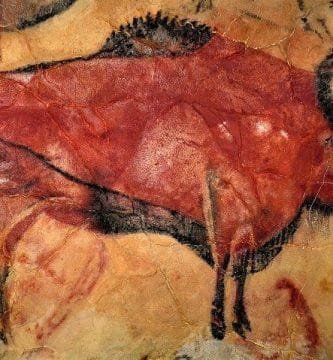 Visita guiada cueva Altamira