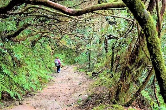 Tour Anaga Tenerife