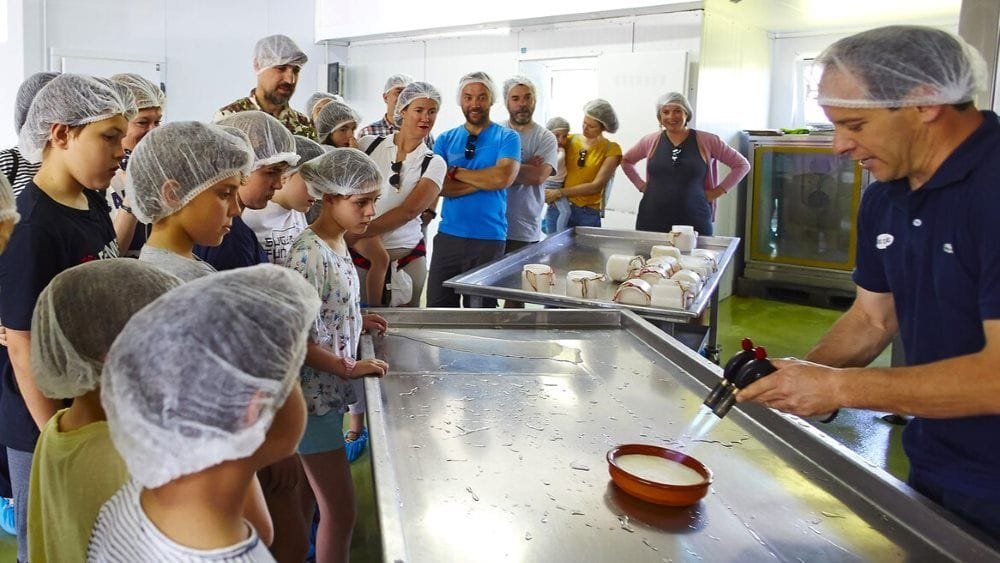 Tour por la quesería cacereña de Doña Francisca