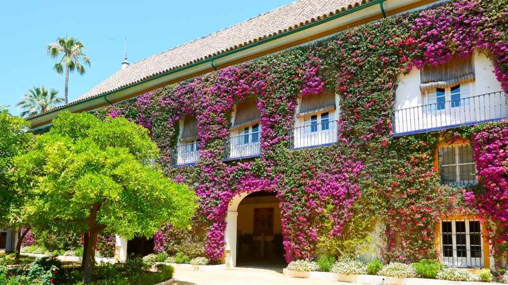 Visita guiada por el Palacio de Las Dueñas de la Duquesa Alba