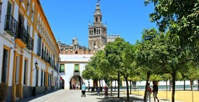 Free Tour por el barrio de Santa Cruz en Sevilla