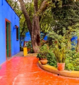 Tour Frida Kahlo