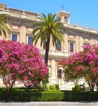Visita guiada Archivo de Indias Sevilla