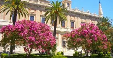 Visita guiada Archivo de Indias Sevilla