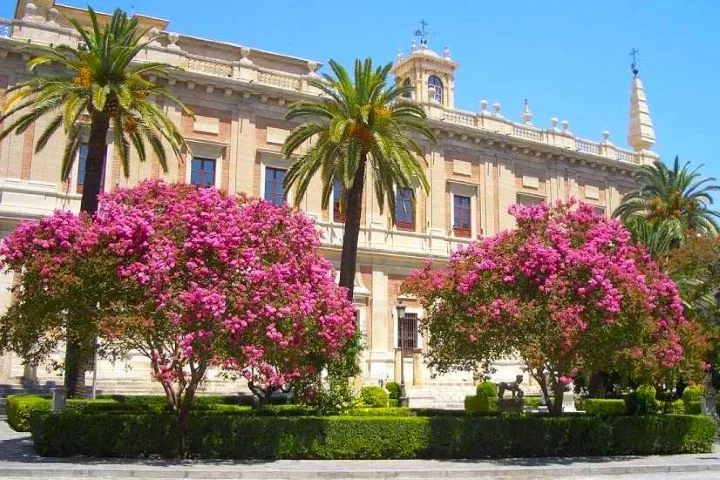 Visita guiada Archivo de Indias Sevilla