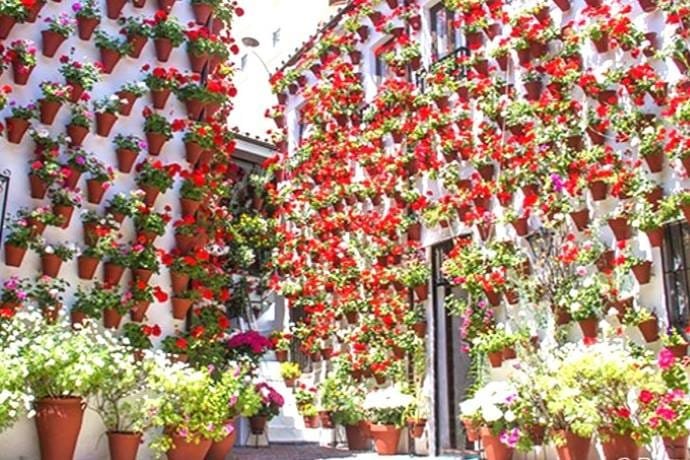 Planificar visita Córdoba