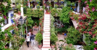 Mejor tour por los patios de Córdoba