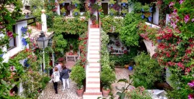 Mejor tour por los patios de Córdoba
