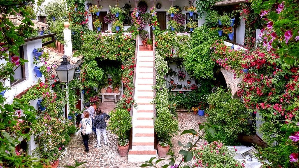 Mejor tour por los patios de Córdoba