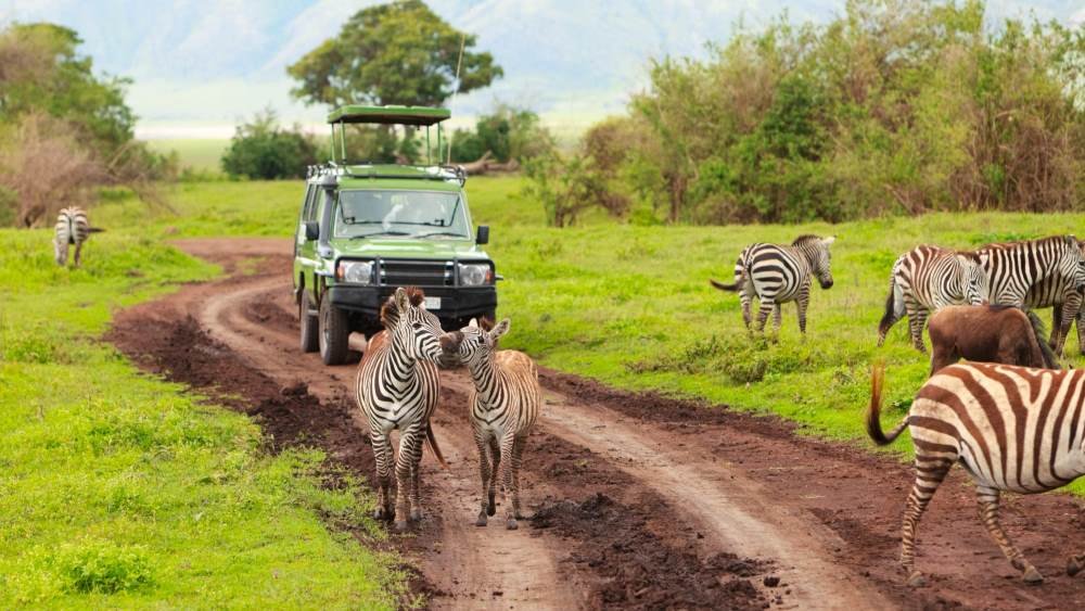 Seguro viaje a Tanzania