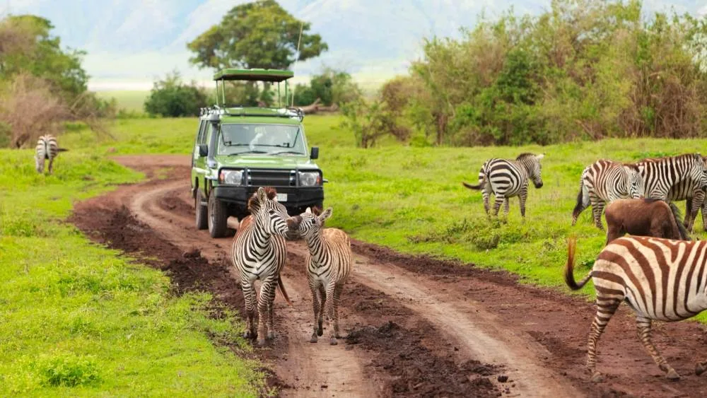 Seguro viaje a Tanzania