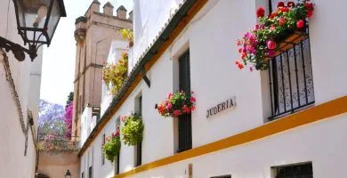 Tour privado por el barrio de Santa Cruz de Sevilla.