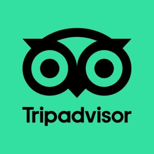 Opiniones de TripAdvisor sobre los traslados de Civitatis