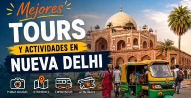 Mejores tours y actividades en Nueva Delhi